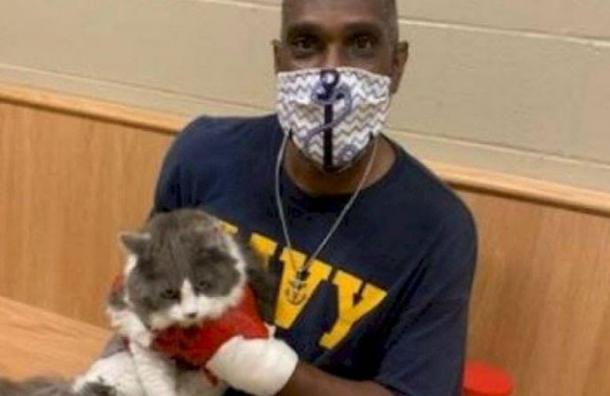 Hombre fue a un refugio para adoptar una mascota tras perder a su gato y encontró al felino en el recinto